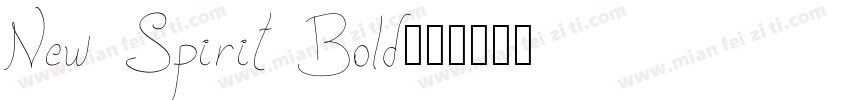 New Spirit Bold字体转换